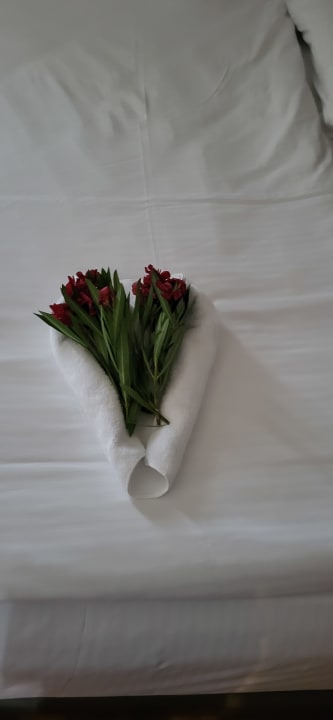 Zimmer Megasaray Club Belek