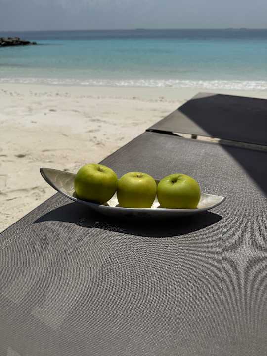 Strand OBLU SELECT Lobigili