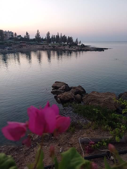 Sonstiges Crystal Springs Beach Hotel