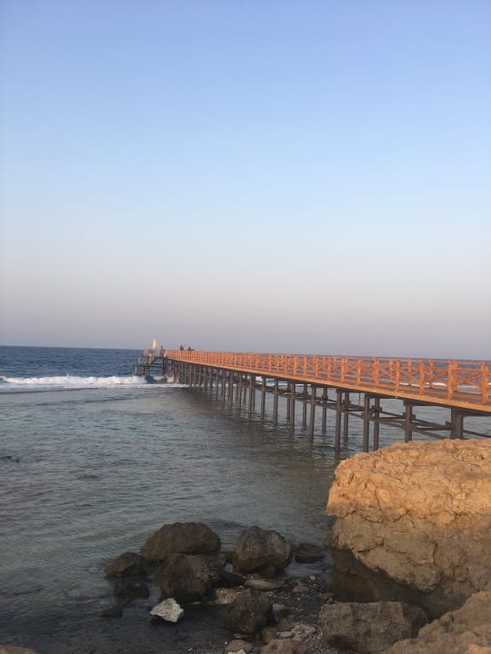 Strand Steigenberger Resort Alaya Marsa Alam - Red Sea - Adults only
