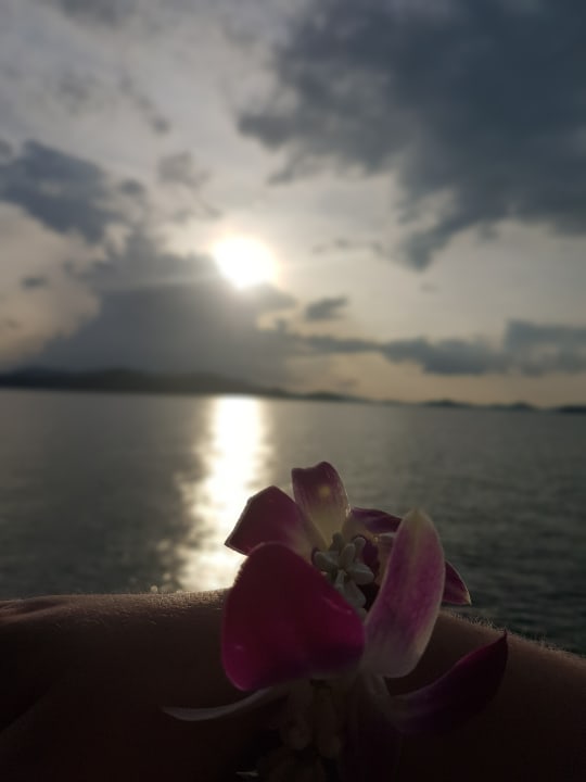 Sonstiges Khao Lak Merlin Resort