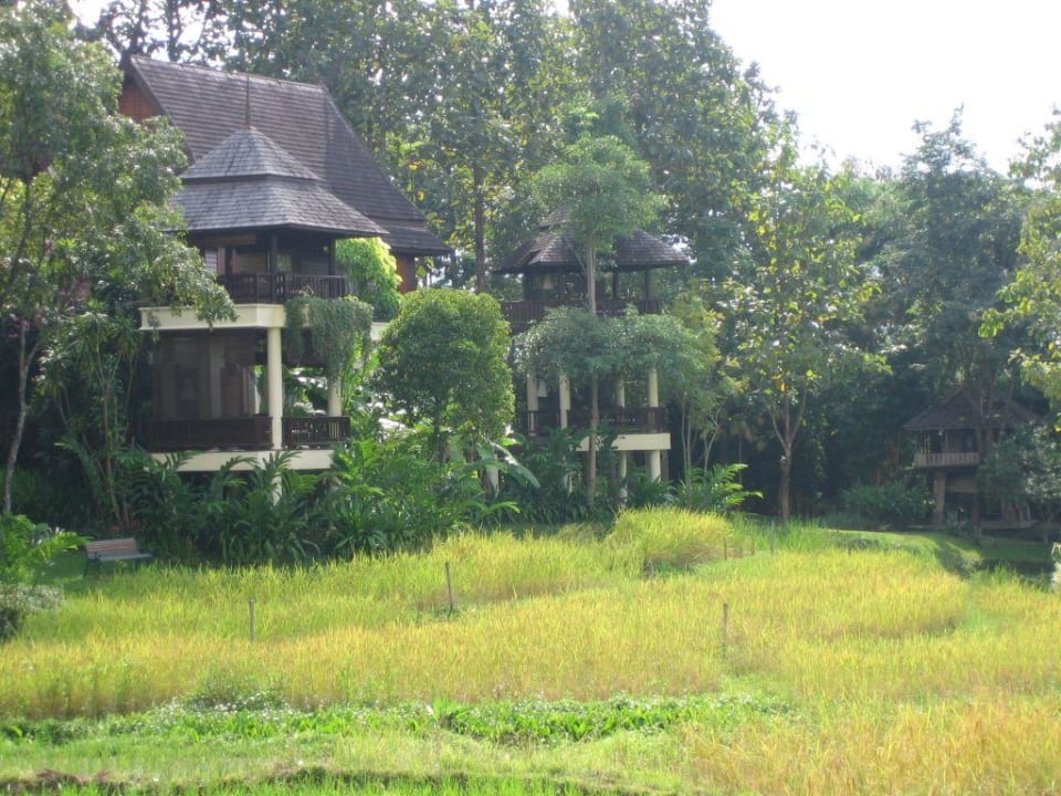 Pavillions im Four Seasons Four Seasons Resort Chiang Mai