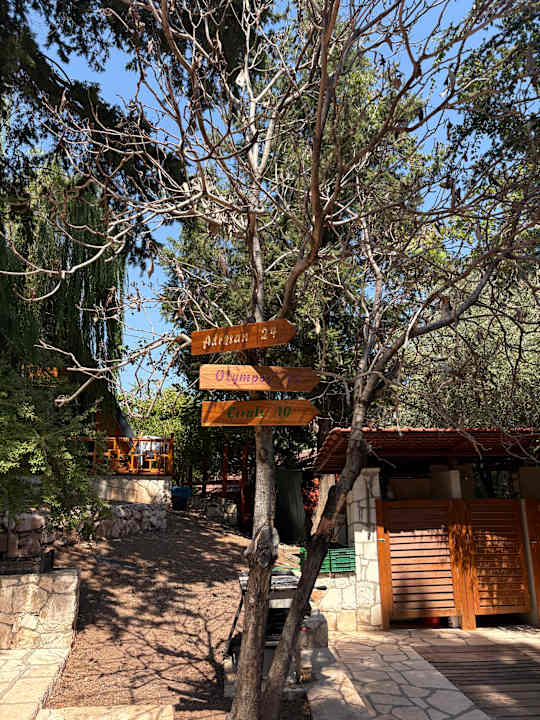 Gartenanlage Trinitys Ulupinar