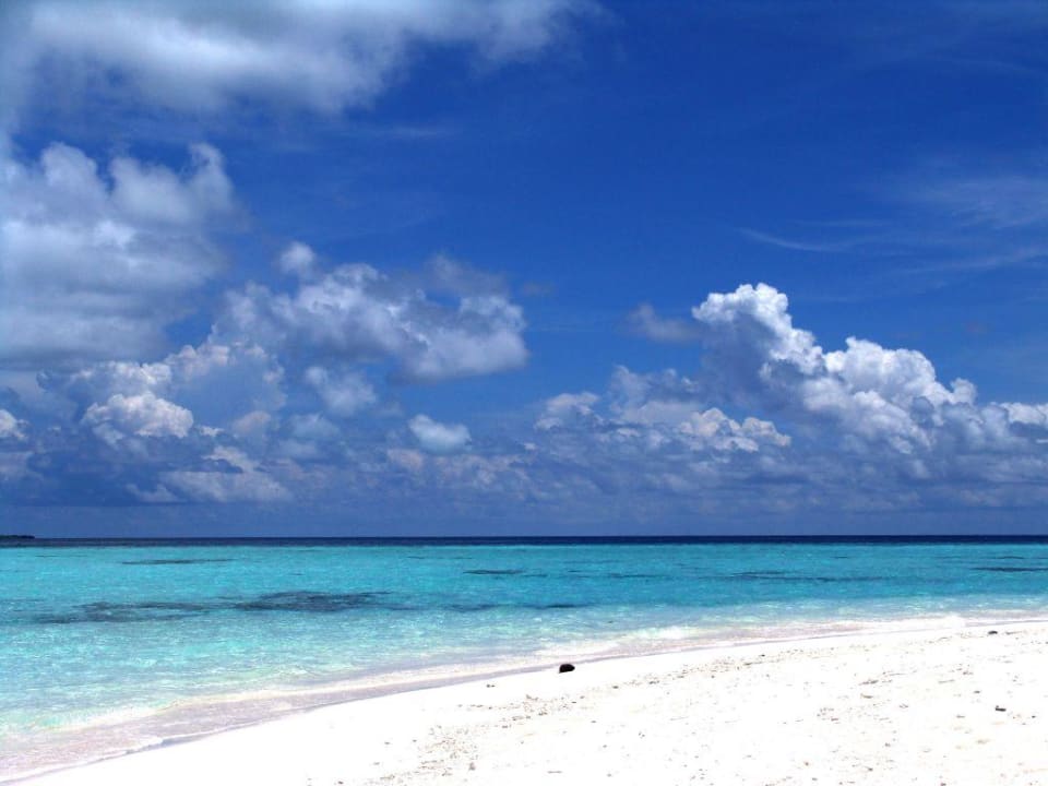 Beach lovers paradise Summer Island Maldives