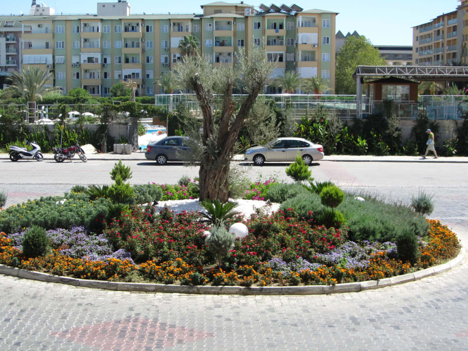 Vor dem Hotel Hotel Royal Garden Beach