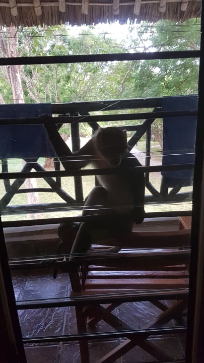 Zimmer Hotel Papillon Lagoon Reef