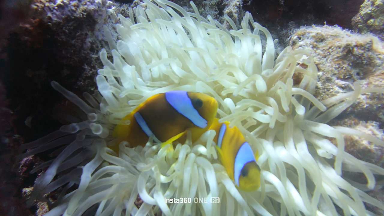 Strand Brayka Bay Resort