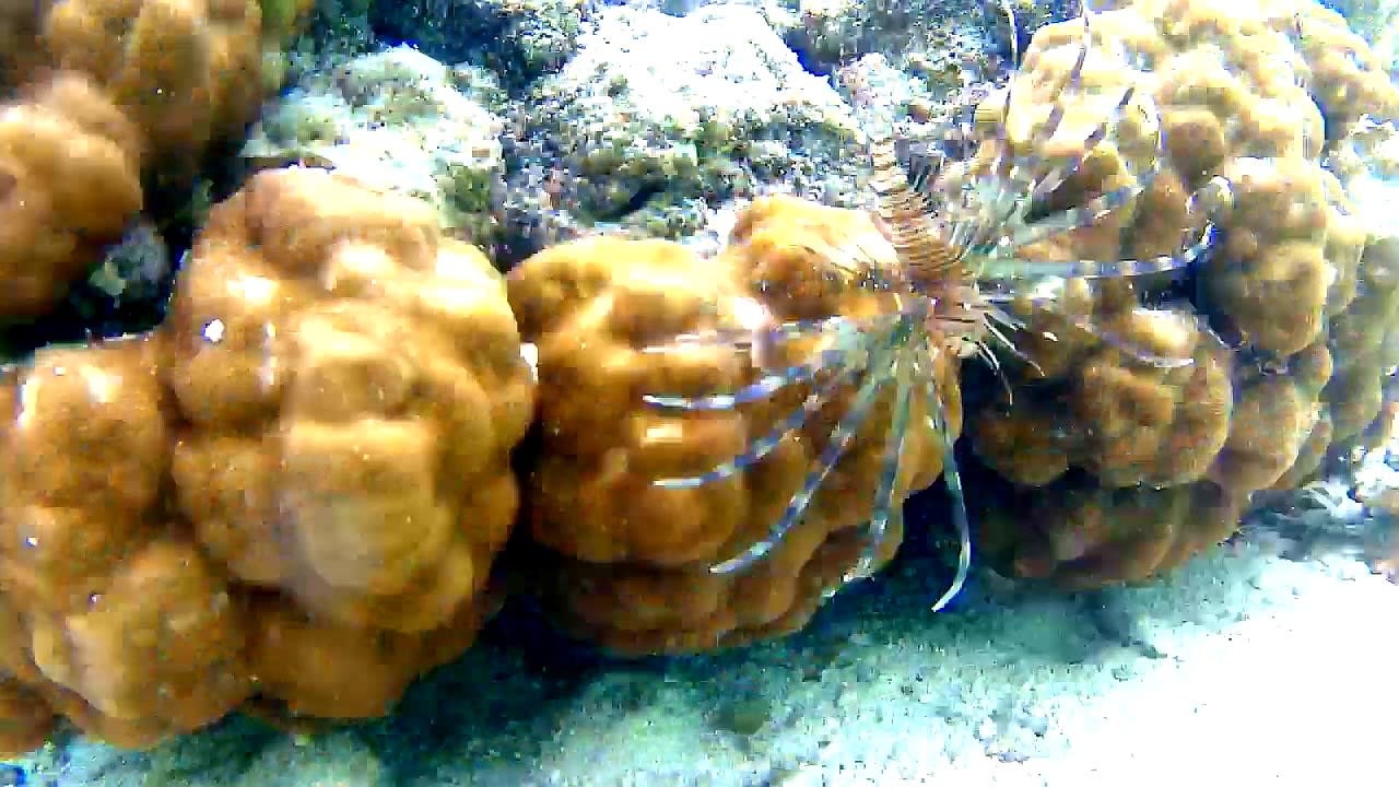 Sport & Freizeit Adaaran Select Hudhuran Fushi - Premium All Inclusive