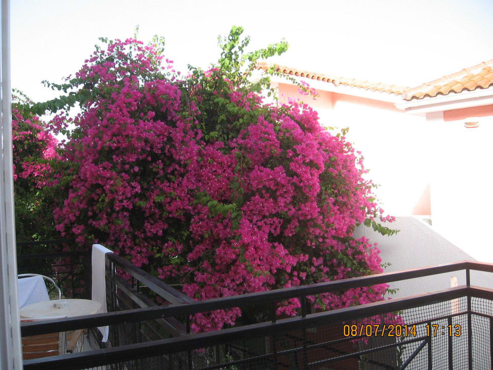 Oleandry Hotel Porto Skala Village
