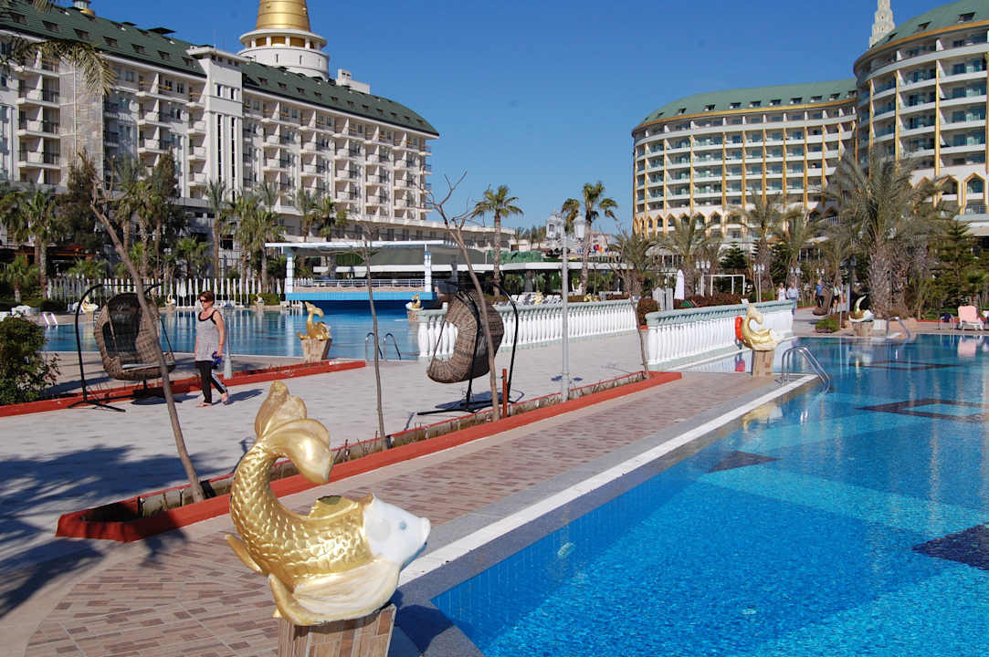 Pool Hotel Delphin Imperial