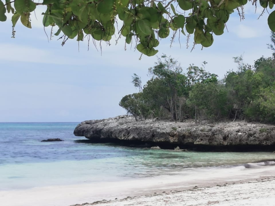 Strand Paradisus Rio de Oro Resort & Spa - Adults only