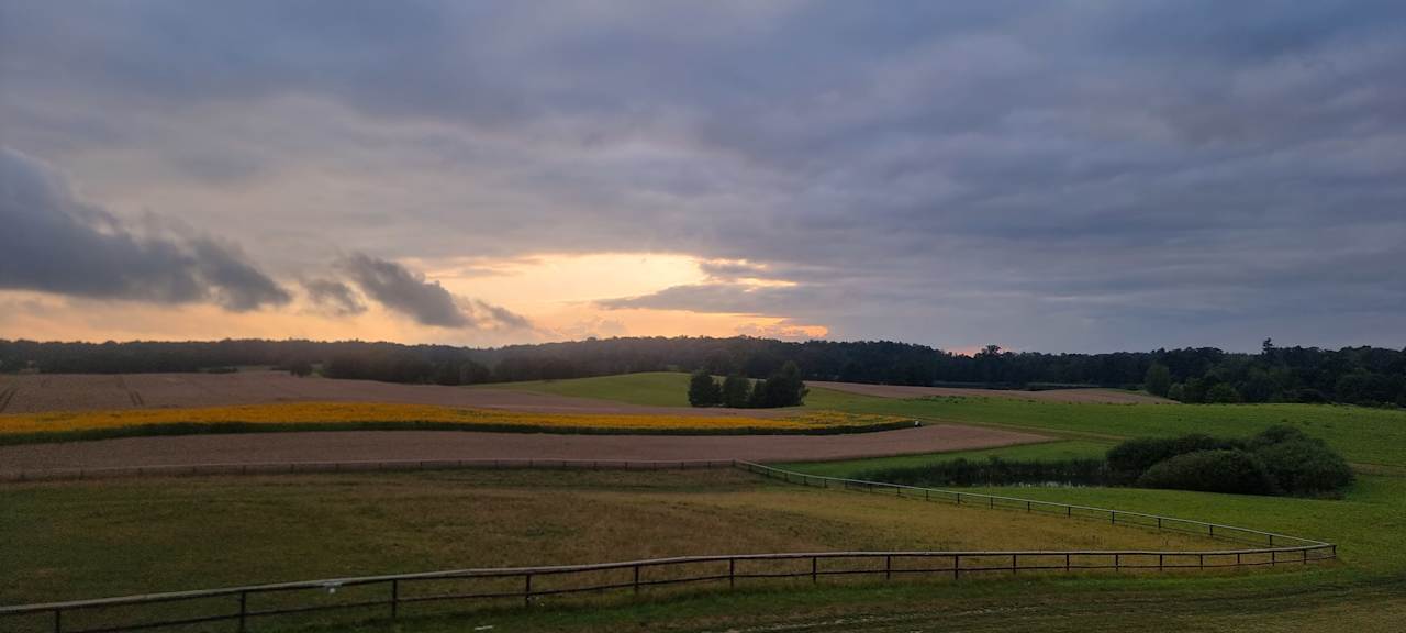 Gartenanlage Pałac i Folwark Galiny
