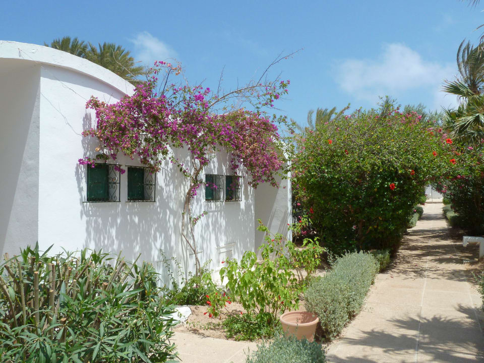 Ansicht 3 Weg zum Strand Hotel Sangho Club Zarzis