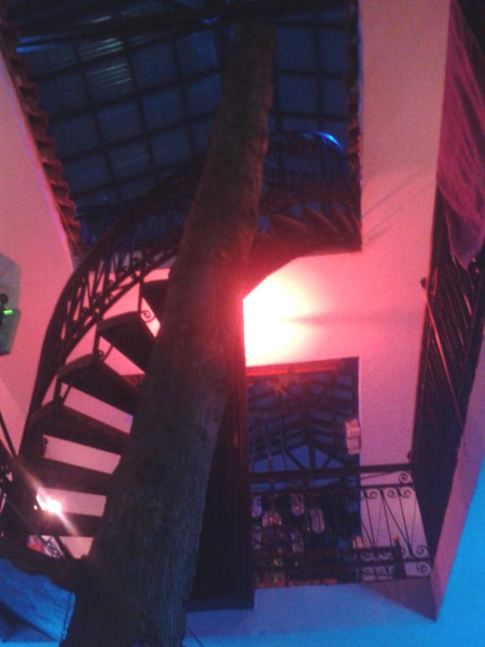 Am Abend Kaliptus Hotel