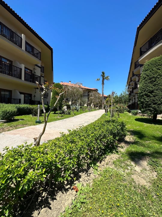 Außenansicht Alba Resort Hotel