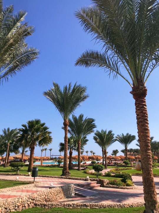 Gartenanlage Three Corners Sea Beach Resort