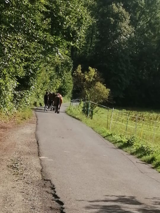 Außenansicht Ferienhof Probstei Zella