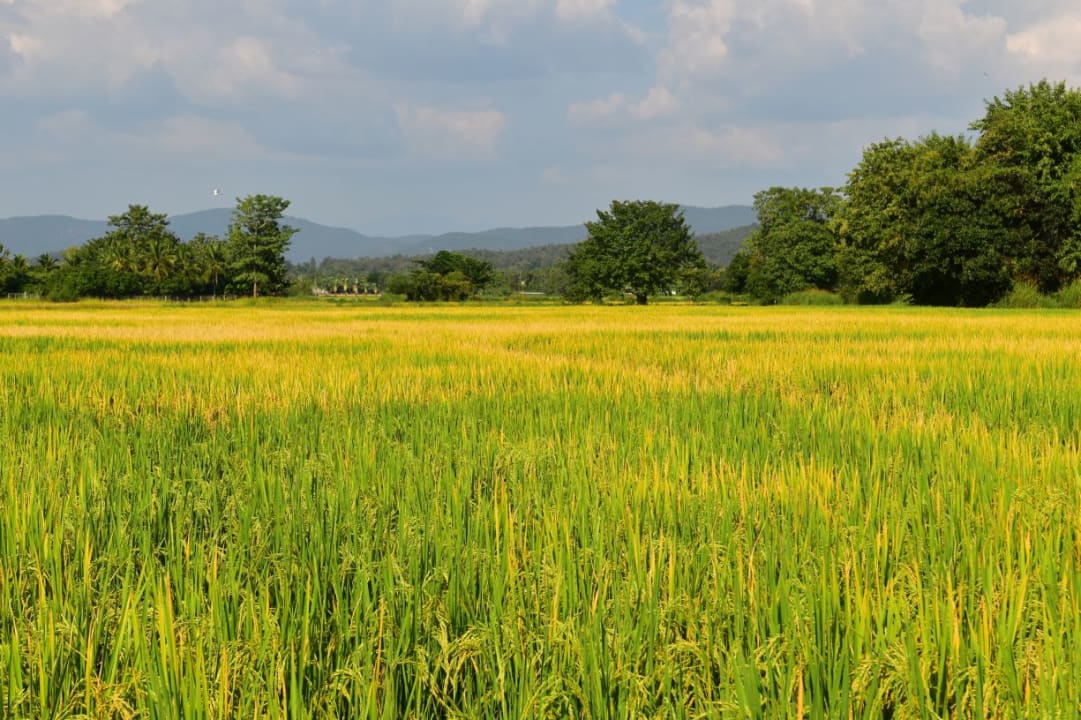 Ausblick Phoo Na Resort