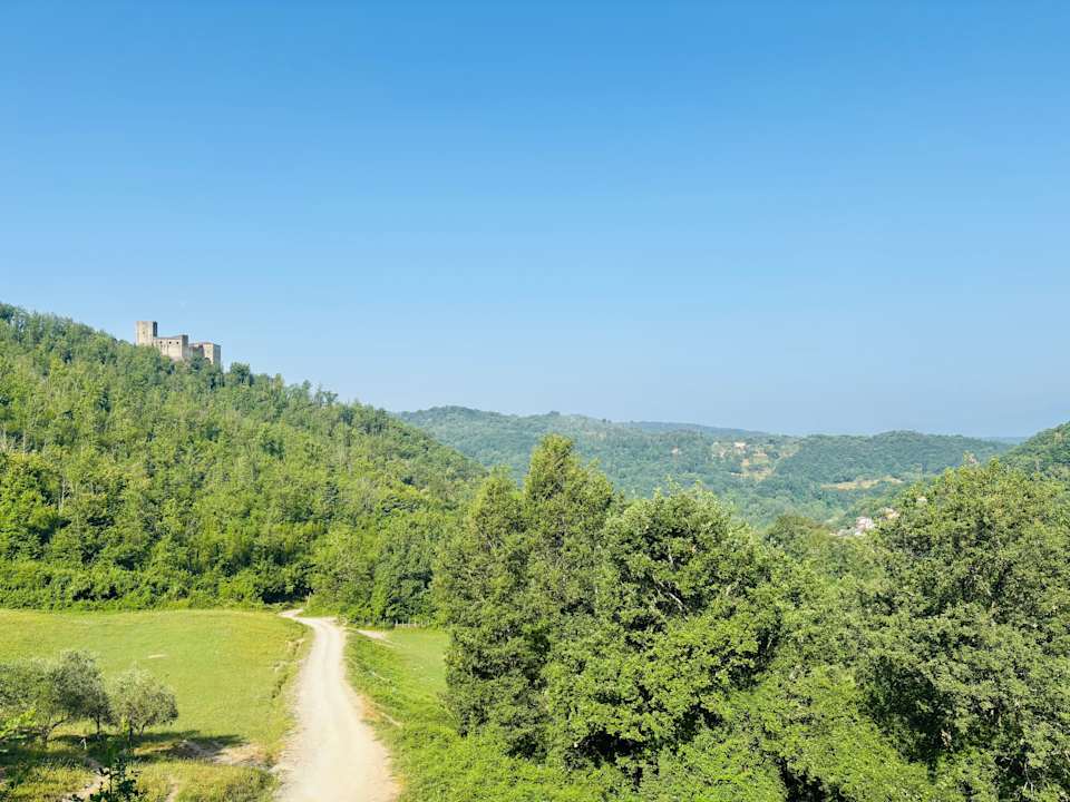 Ausblick Le Chianine dei Tognoli