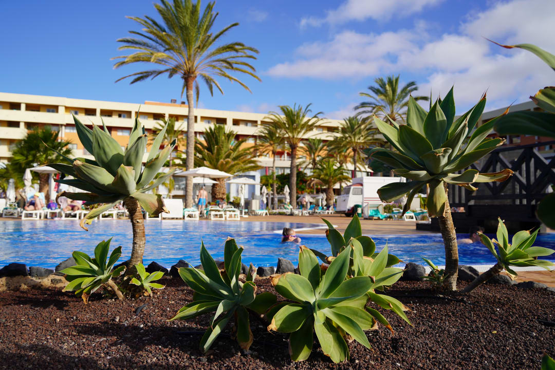 Pool Iberostar Waves Gaviotas Park