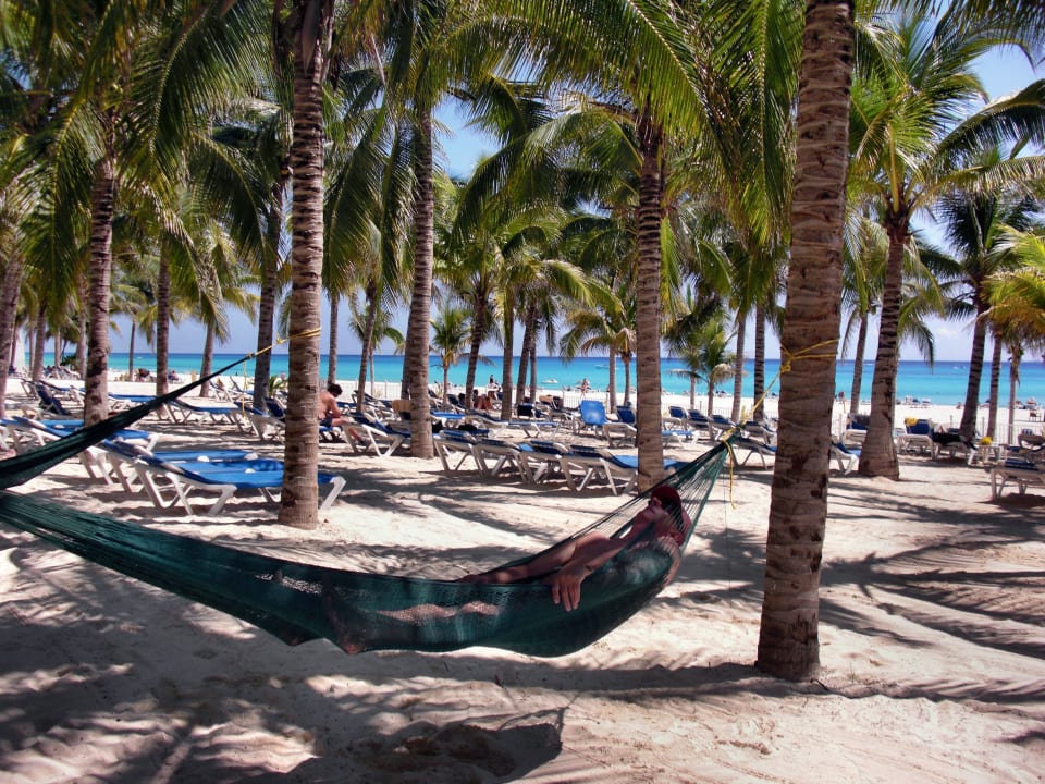 Unter Palmen in der Hängematte Hotel Riu Palace Riviera Maya