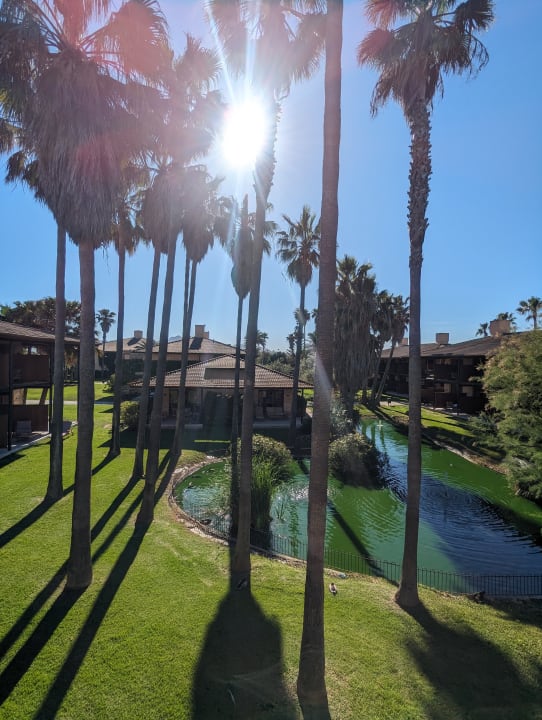 Gartenanlage PortBlue Club Pollentia Resort & Spa