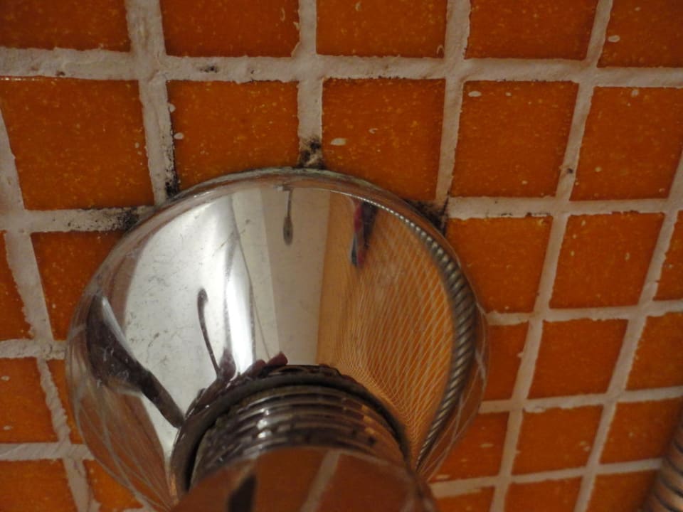 Schimmel in der Dusche DAS Club Hotel Sunny Beach