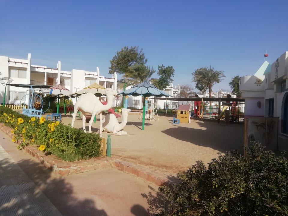 Sport & Freizeit Menaville Safaga