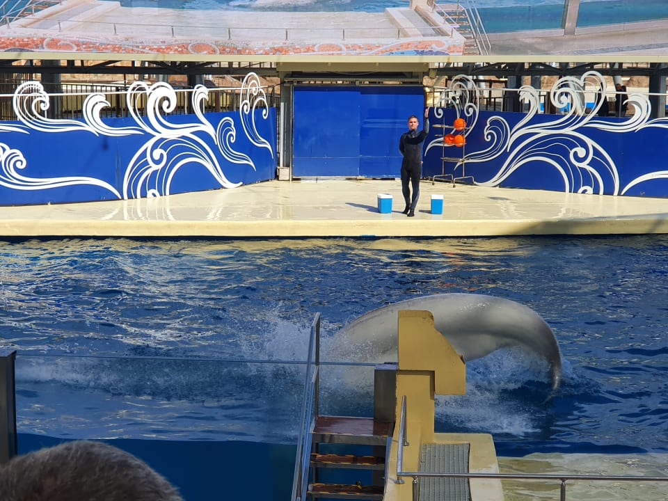 Sport & Freizeit The Land of Legends Kingdom Hotel