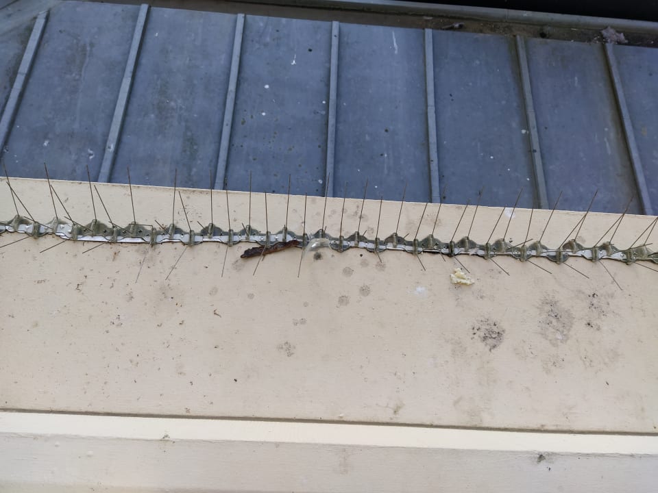 Sonstiges Grand Hotel Amrâth Kurhaus The Hague Scheveningen