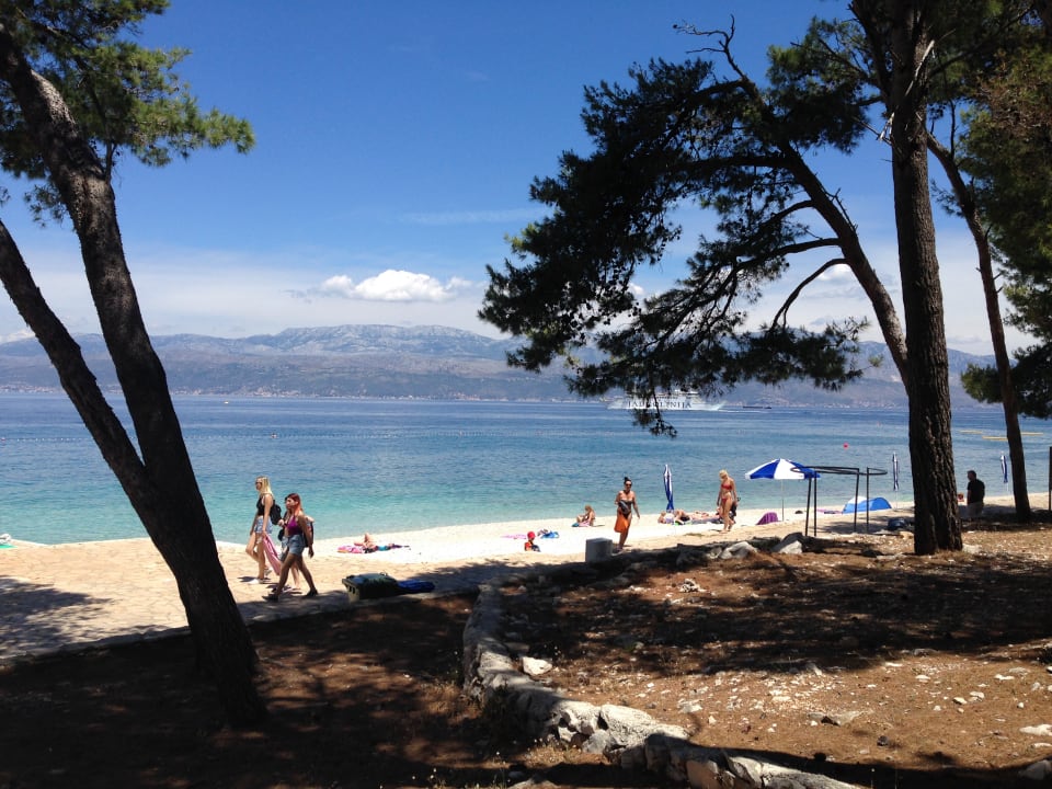 Strand Waterman Svpetrvs  Resort