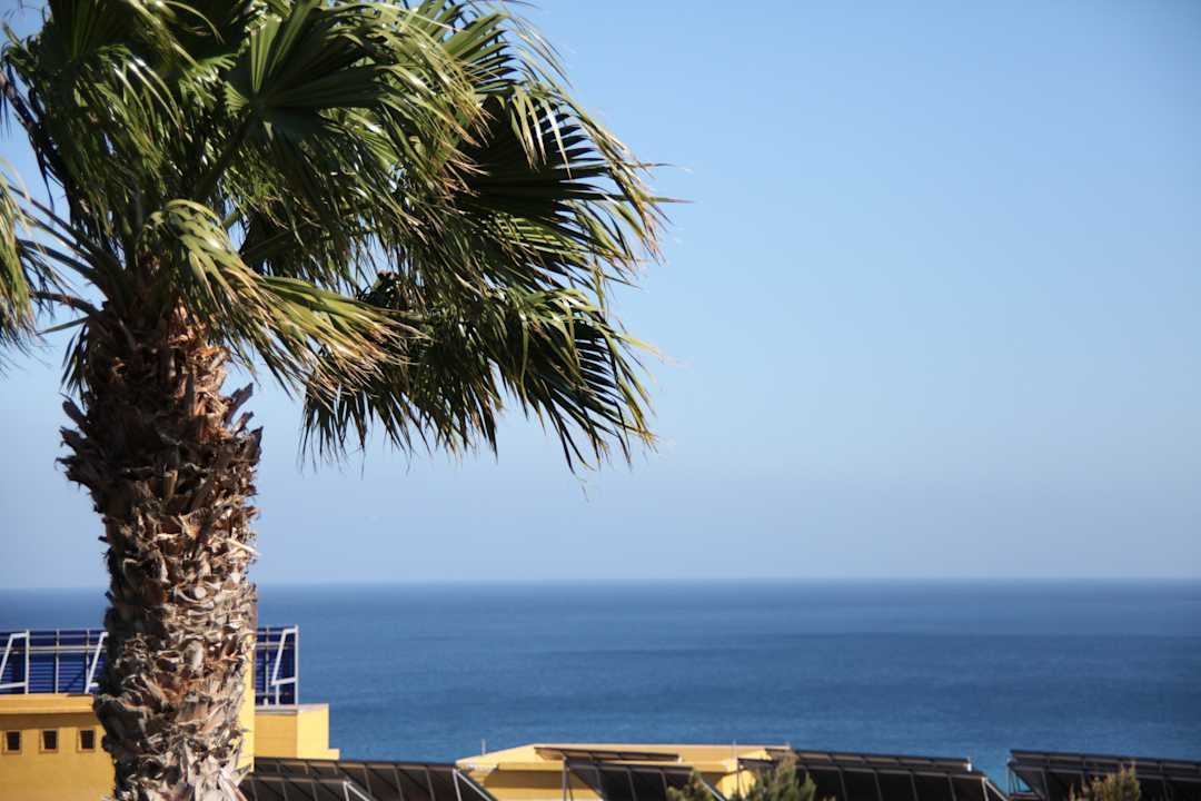 Ausblick Occidental Jandía Mar