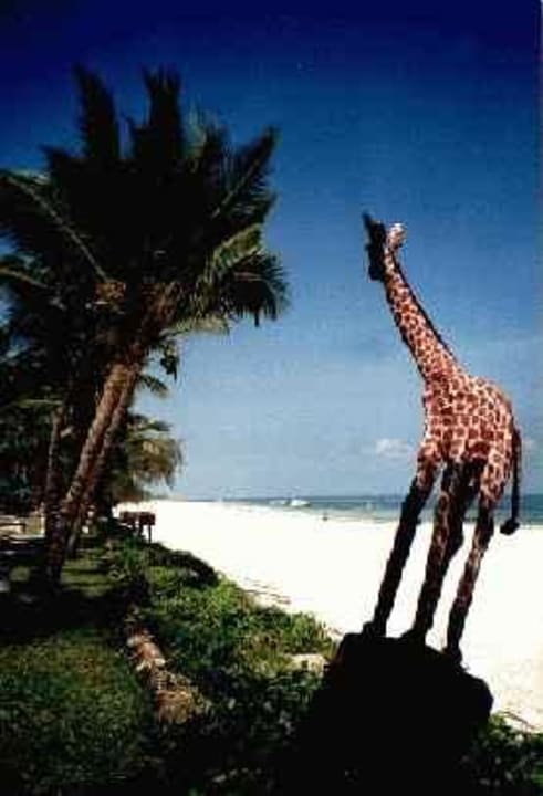 Traumstrand am Safari Beach Hotel Safari Beach