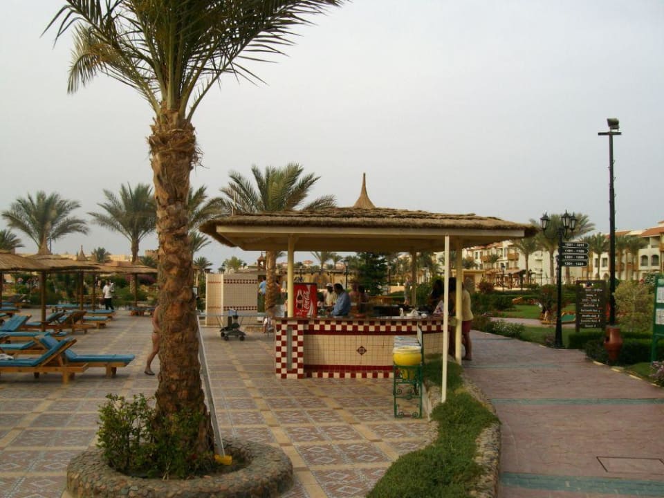 Poolbar Pickalbatros Dana Beach Resort - Hurghada