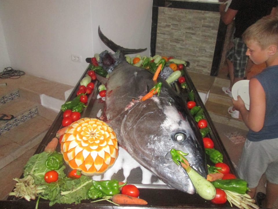 200kg Thunfisch Calimera One Resort Jockey