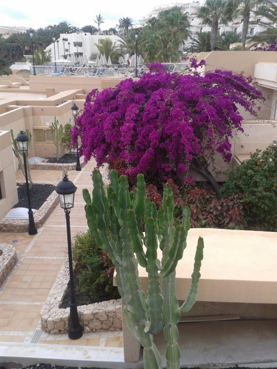 Blick SBH Hotel Taro Beach