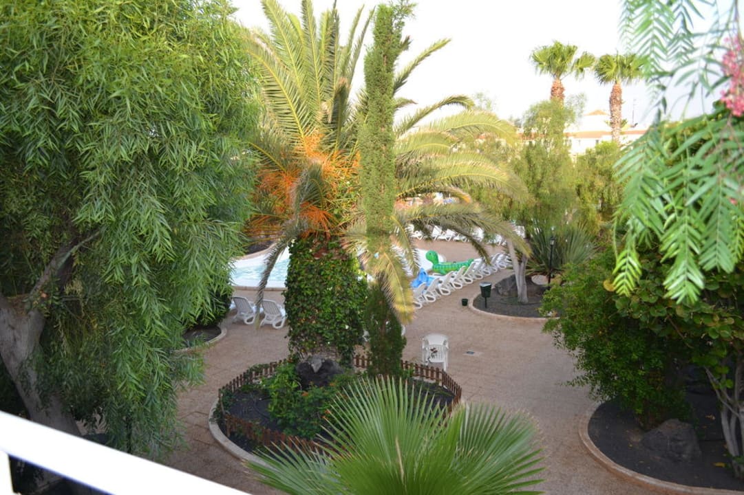 Widok z pokoju Playa Park Zensation