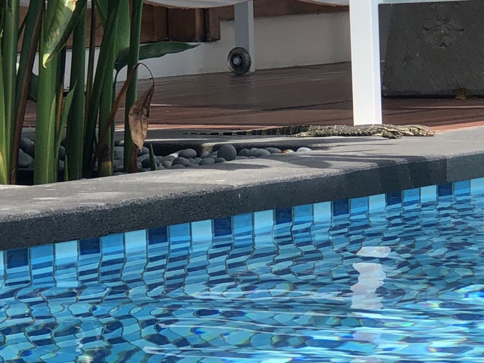 Pool Paradisus by Melia Bali