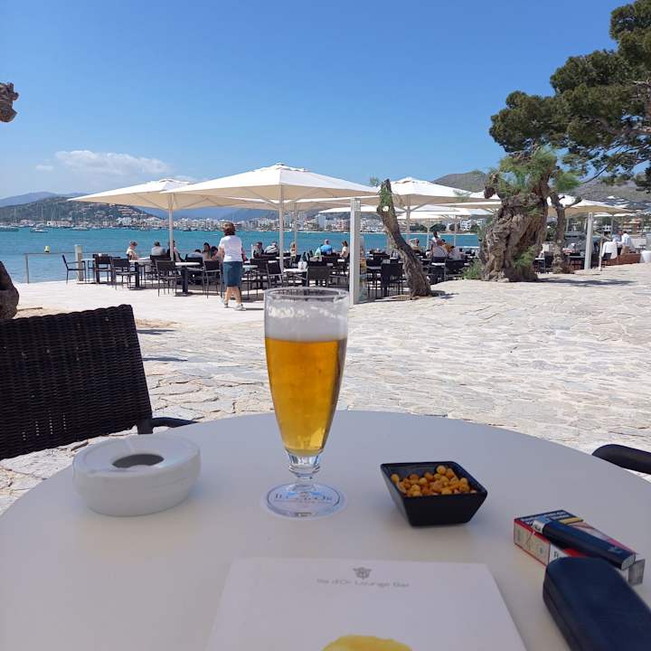 Strand Catalonia Royal La Romana - Adults only