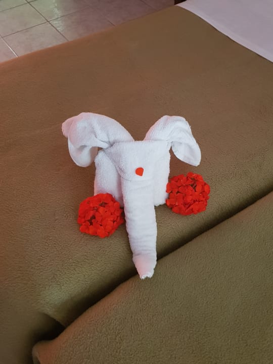 Zimmer Apollon Hotel