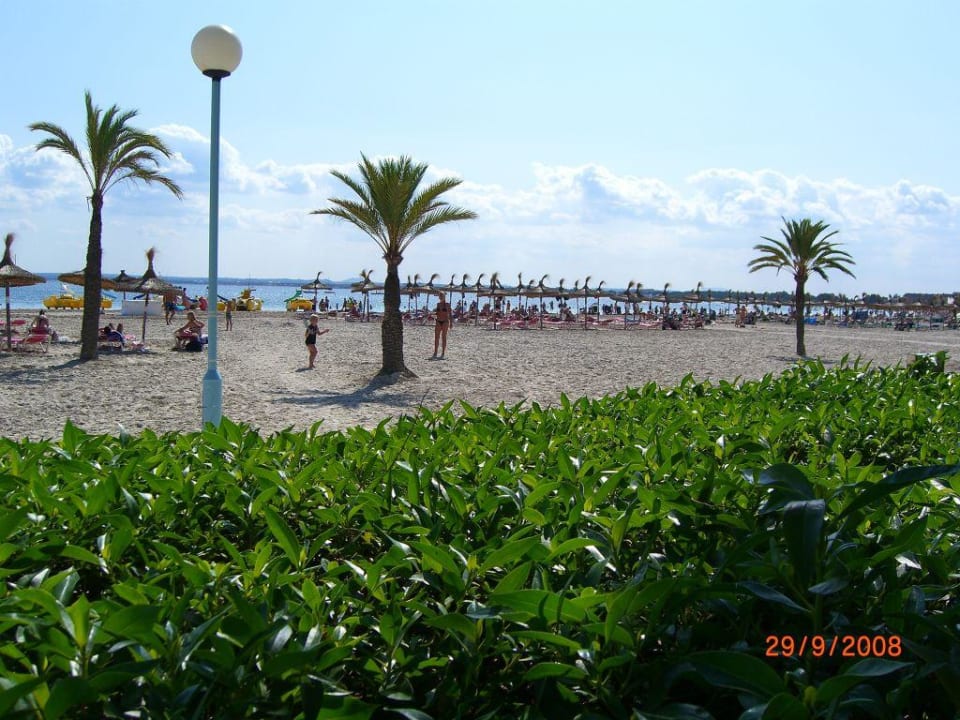 Blick auf den Strand vor dem Hotel VIVA Golf - Adults only 18+