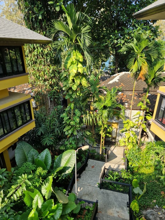 Gartenanlage Moracea by Khao Lak Resort