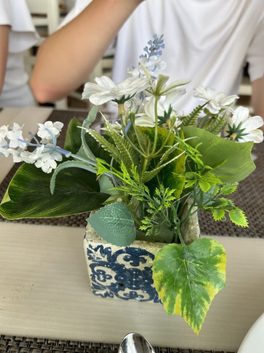 Gastro allsun Hotel Lucana