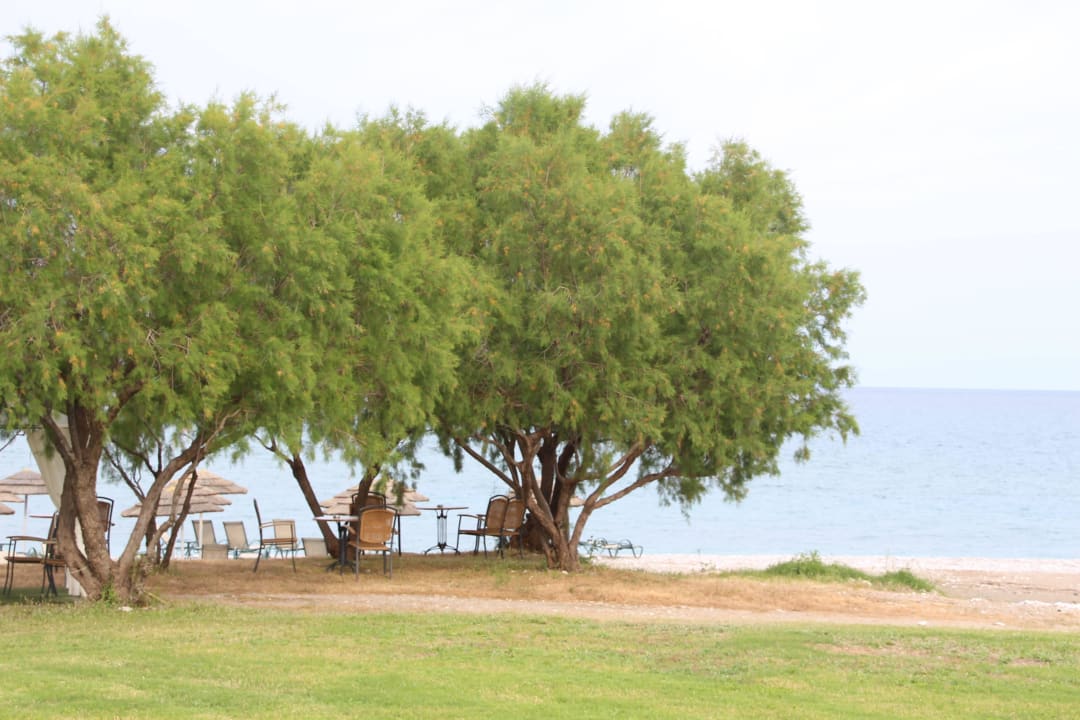 Kies/Sandstrand Asterias Beach Resort