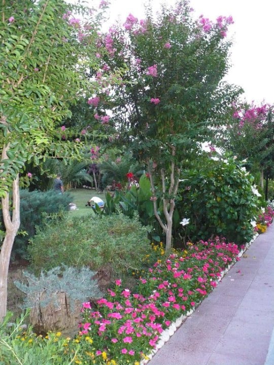 Die schönen Gehwege im Hotel Belek Beach Resort Hotel