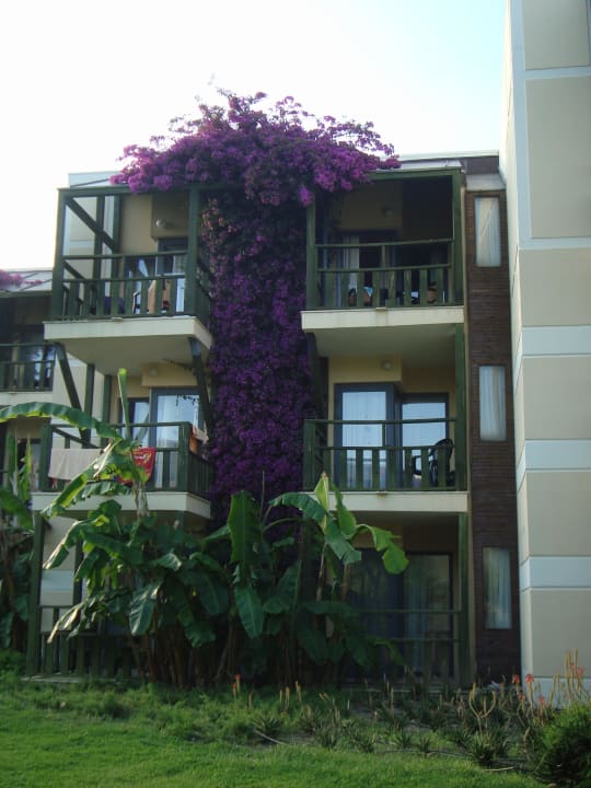 View on the room Limak Limra Hotel & Resort