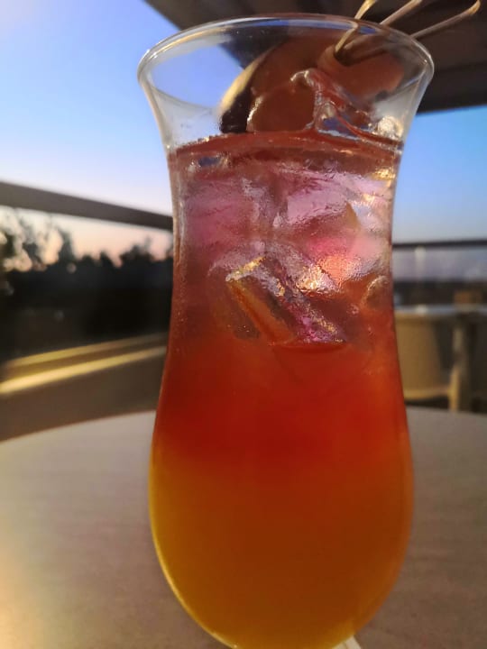 Gastro Cactus Mare - Adults only