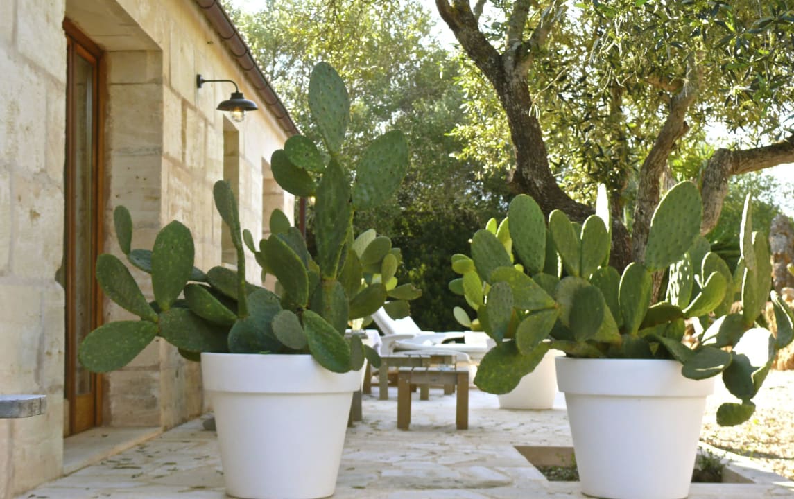 Landhotel Mallorca Finca Hotel Rural Es Turó