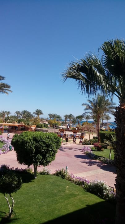 Außenansicht Desert Rose