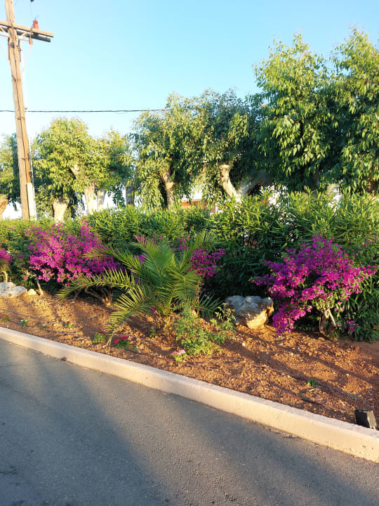 Gartenanlage Anissa Beach & Village